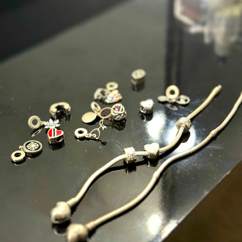 2 pandora bracelets and 14 charms